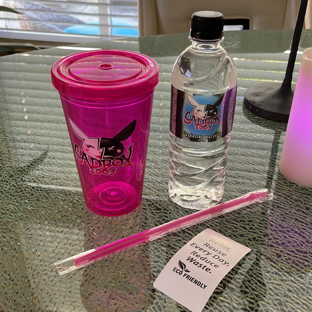 Trisha’s SADBOY2005 16oz. Tumbler/Straw/Water Bottle NWT